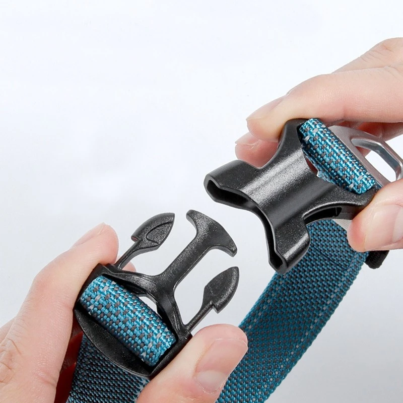 Dog Collar With Metal Buckle best