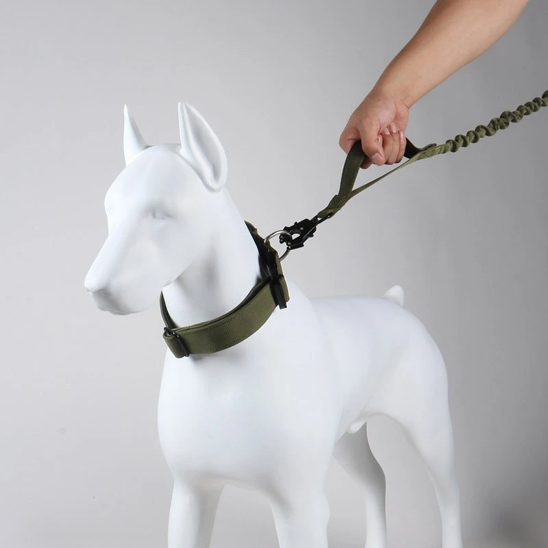 Leather Handle Dog Leash manufacturers